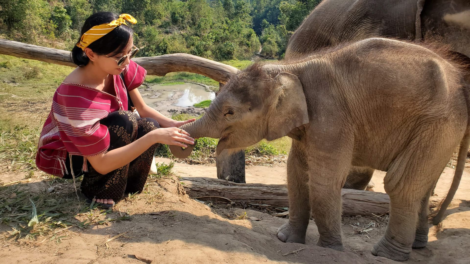 Woman in traditional Thai clothing gently touching a baby elephant's trunk at an ethical sanctuary in Thailand
